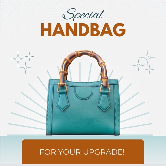 Show: Designer handbag upgrade!!! - Picture 1 of 1